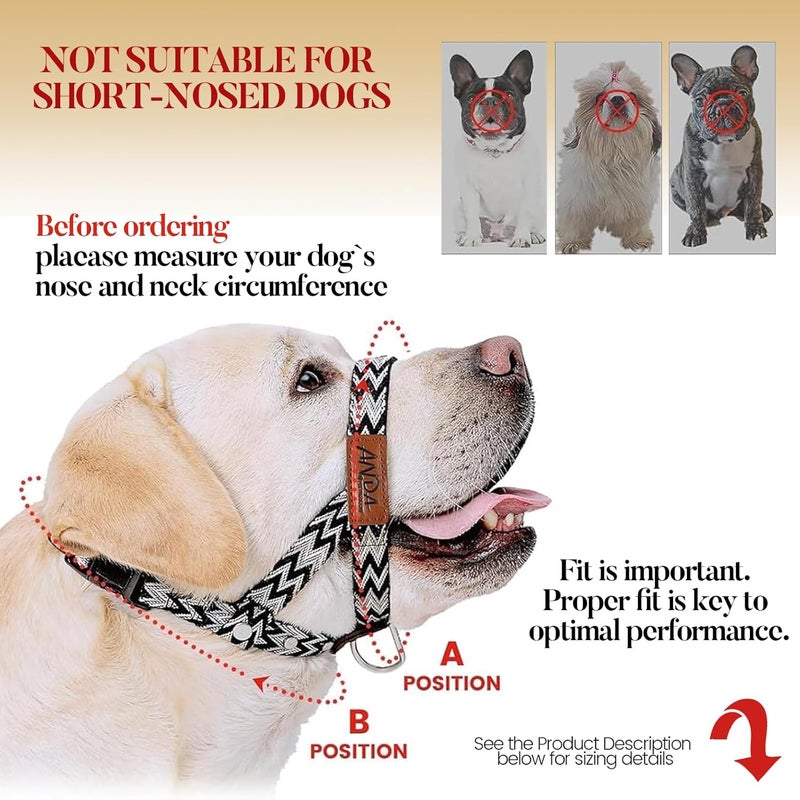 ANDA Gentle Leader for Dogs Headcollar - Ultra-Light No-Pull Dog Head Collar, Adjustable Breathable Muzzle Leash Prevents Pulling & Lunging, Comfort Fit for Small Medium Large Dogs - Image 3